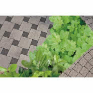 Kostki Libet Decco Monocolor